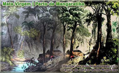 Mata virgem perto de Mangaratiba | Gravura de Rugendas Mata virgem perto de Mangaratiba | Gravura de Rugendas