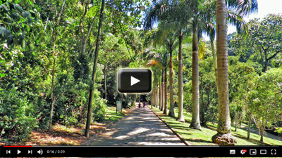 Parque da Cidade - V&iacute;deo
