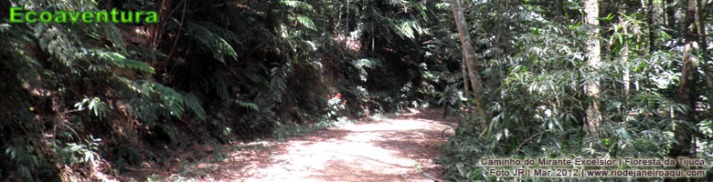 Ecoaventura | Trilha e caminho do Excelsion na Floresta da Tijuca Ecoaventura | Trilha e caminho do Excelsion na Floresta da Tijuca