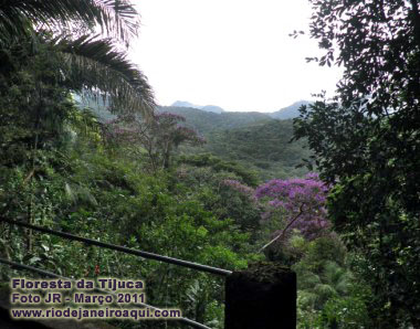 Matas e montanhas vistas de uma parada na Estrada Bar&atilde;o de Escragnolle