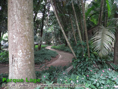 Jardins do Parque Lage | Caminho sinuoso em meio à densa vegetação composta de arvóres diversas, plantas e até flores de jardim
