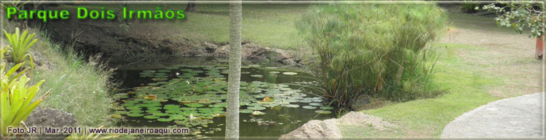 Jardim com lago e plantas aqu&aacute;ticas no Parque Dois Irm&atilde;os