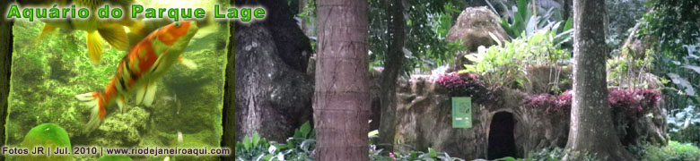 Cenas do aquário do Parque Lage