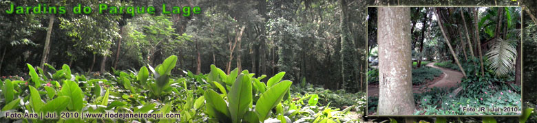 Jardins e floresta do Parque Lage