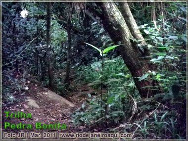Trilha da Pedra Bonita | Partes com pavimento em pedras do tempo do Império Trilha da Pedra Bonita | Partes com pavimento em pedras do tempo do Império