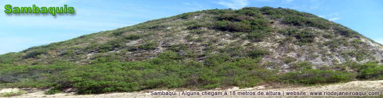Sambaqui ou montanha de conchas construídas por habitantes pré-históricos Sambaqui ou montanha de conchas construídas por habitantes pré-históricos