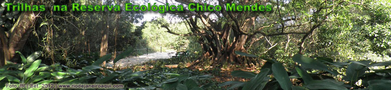 Início de trilha na reserva ecológica Chico Mendes, no Recreio dos Bandeirantes Início de trilha na reserva ecológica Chico Mendes, no Recreio dos Bandeirantes